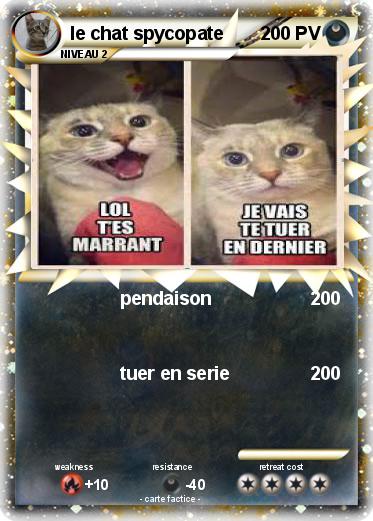 Pokemon le chat spycopate