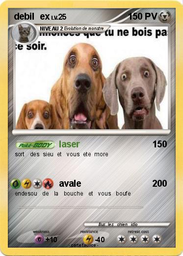 Pokemon debil  ex
