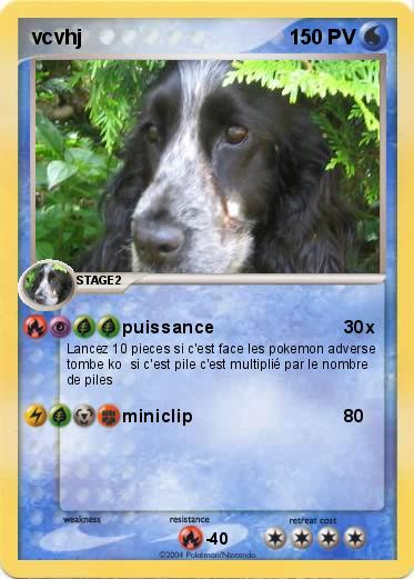 Pokemon vcvhj