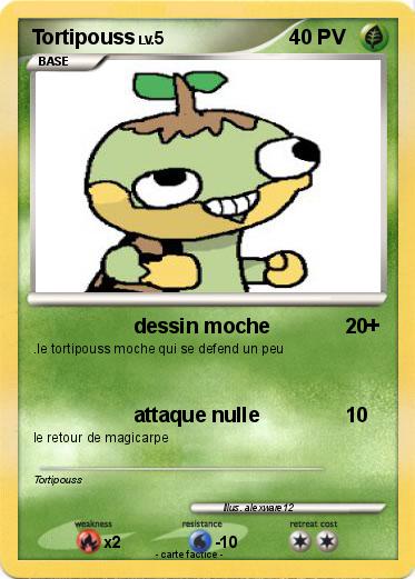 Pokemon Tortipouss