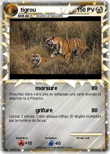 Pokemon tigrou