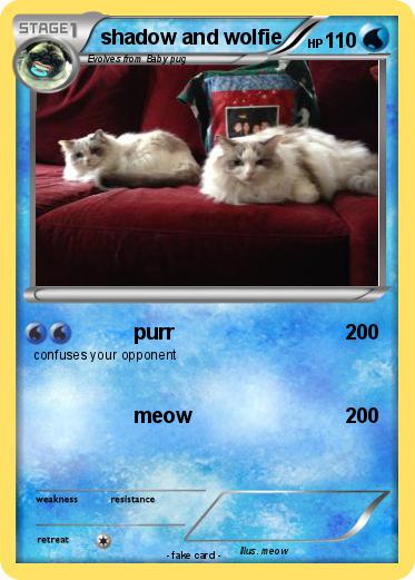 Pokemon shadow and wolfie