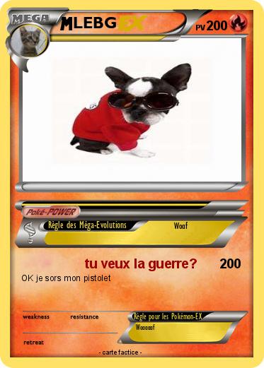 Pokemon LEBG