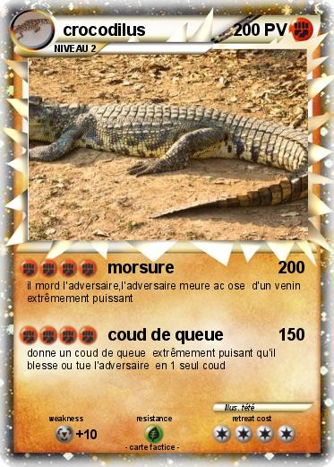 Pokemon crocodilus