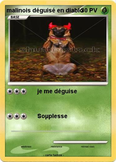 Pokemon malinois déguisé en diablo