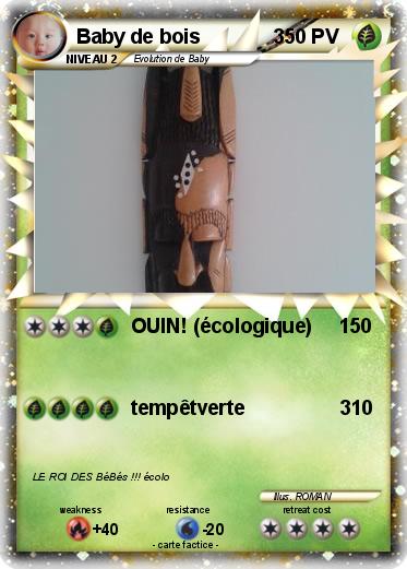 Pokemon Baby de bois             3