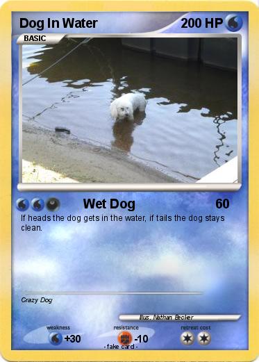 Pokemon Dog In Water