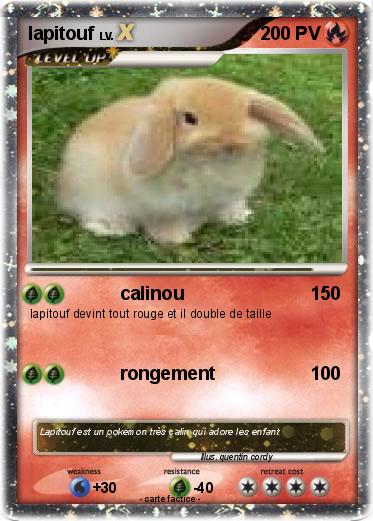 Pokemon lapitouf