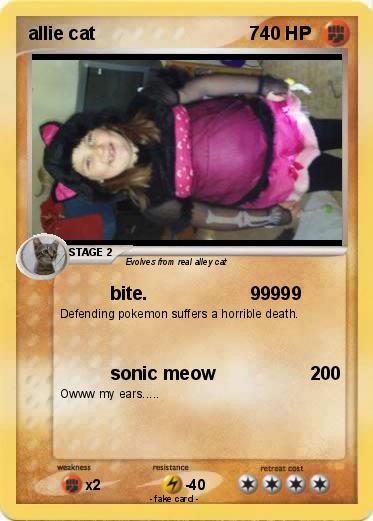 Pokemon allie cat                              7