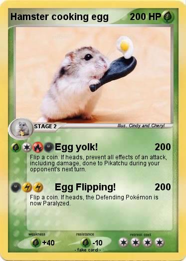 Pokemon Hamster cooking egg