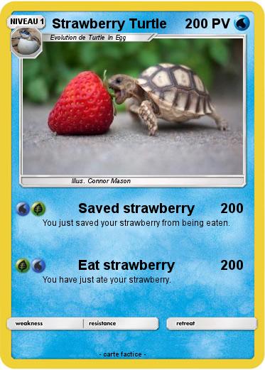 Pokemon Strawberry Turtle