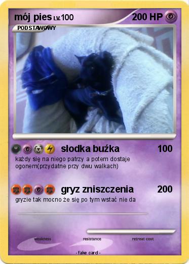 Pokemon mój pies