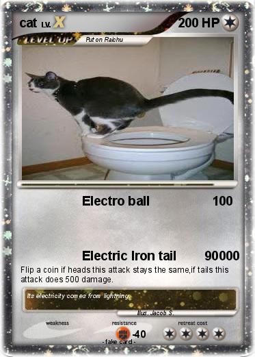 Pokemon cat