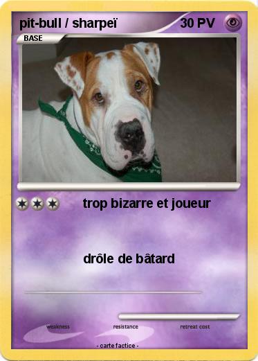 Pokemon pit-bull / sharpeï