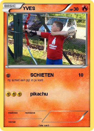 Pokemon YVES