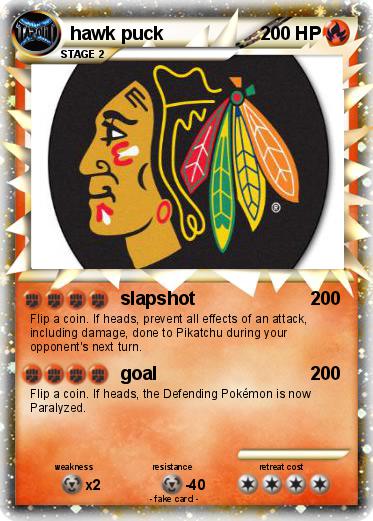 Pokemon hawk puck