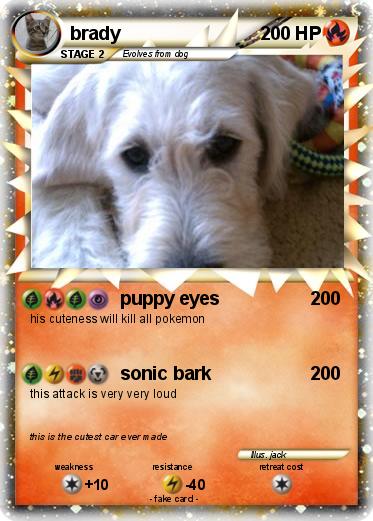 Pokemon brady