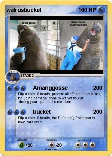 Pokemon walrusbucket