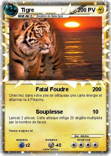 Pokemon Tigre