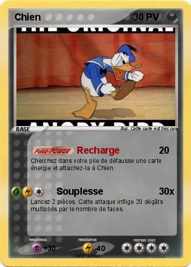 Pokemon Chien