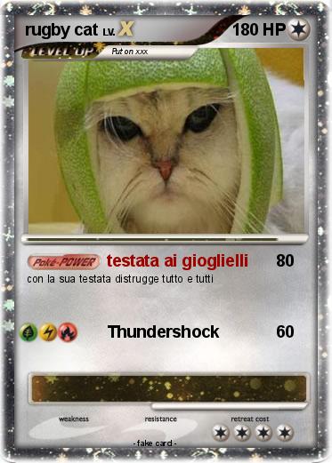 Pokemon rugby cat