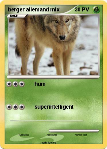 Pokemon berger allemand mix