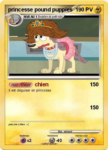 Pokemon princesse pound puppies