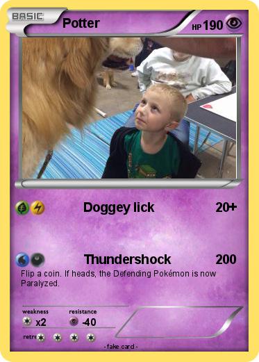 Pokemon Potter