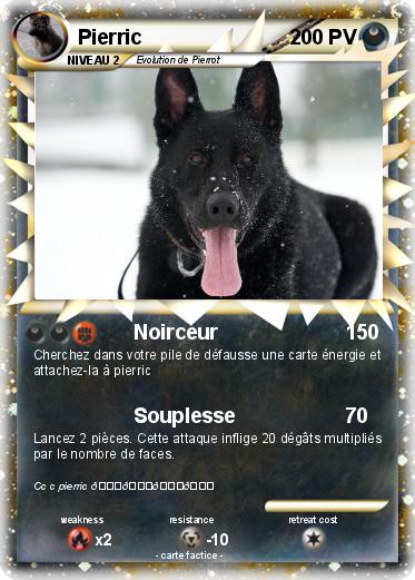 Pokemon Pierric