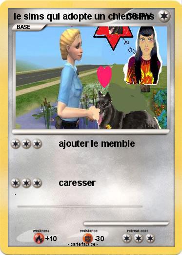 Pokemon le sims qui adopte un chien sims