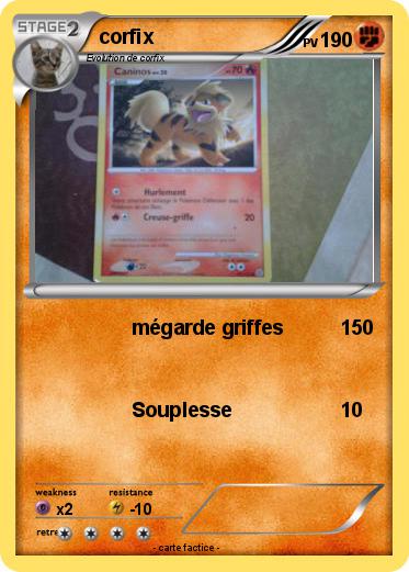 Pokemon corfix
