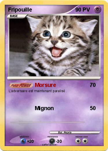 Pokemon Fripouille