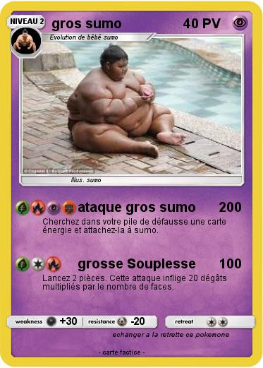 Pokemon gros sumo