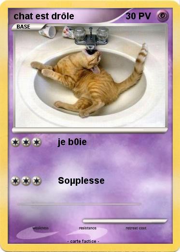 Pokemon chat est drôle