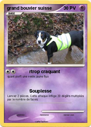 Pokemon grand bouvier suisse