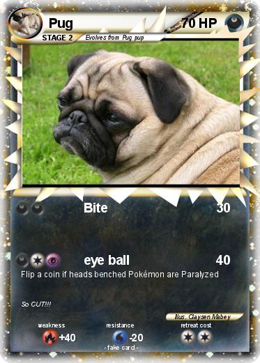 Pokemon Pug