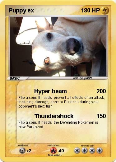 Pokemon Puppy ex