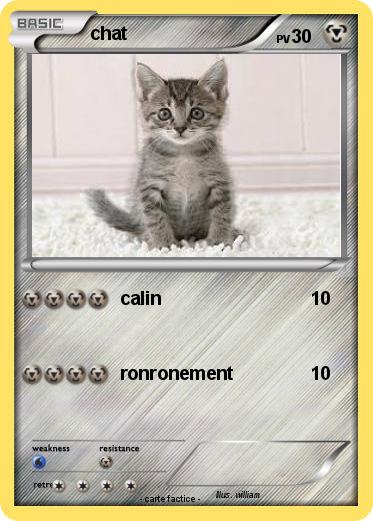 Pokemon chat