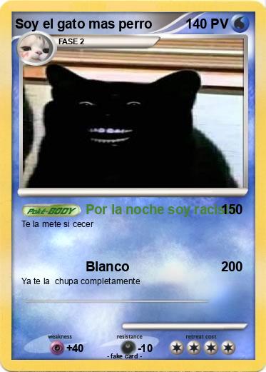 Pokemon Soy el gato mas perro
