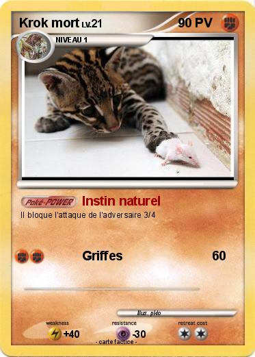 Pokemon Krok mort