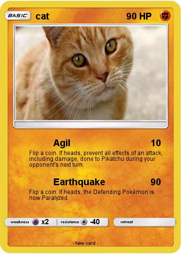 Pokemon cat