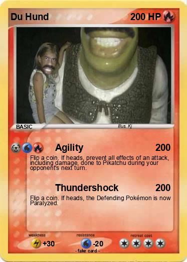 Pokemon Du Hund