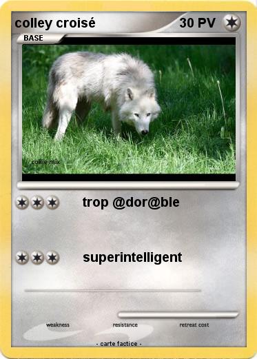 Pokemon colley croisé