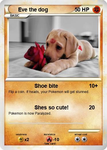 Pokemon Eve the dog