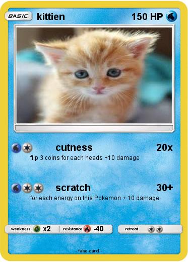 Pokemon kittien