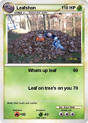 Pokemon Leafshon