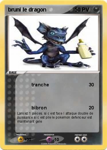 Pokemon bruni le dragon