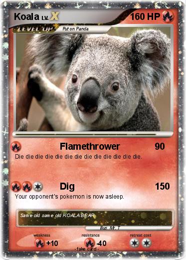 Pokemon Koala