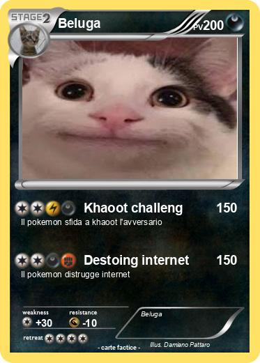 Pokemon Beluga
