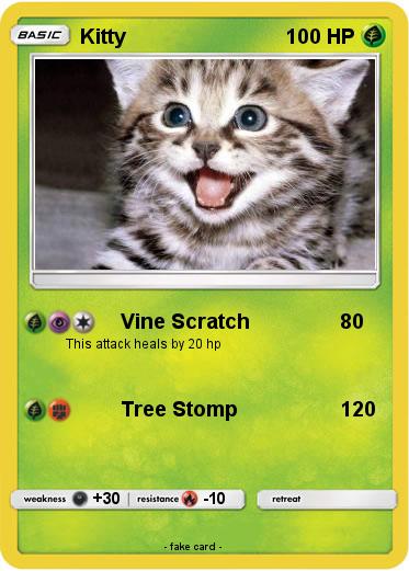 Pokemon Kitty